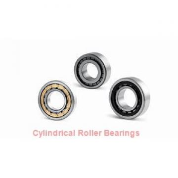 40 mm x 80 mm x 18 mm  NSK N 208 cylindrical roller bearings