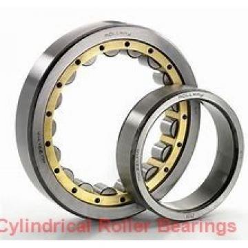55 mm x 100 mm x 21 mm  SIGMA NUP 211 cylindrical roller bearings