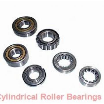 45 mm x 75 mm x 16 mm  ISB NU 1009 cylindrical roller bearings