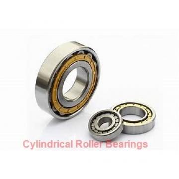 ISO BK2020 cylindrical roller bearings