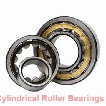 ISO BK2516 cylindrical roller bearings