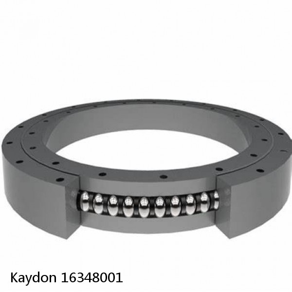 16348001 Kaydon Slewing Ring Bearings