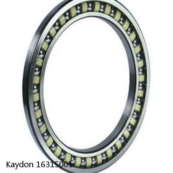 16315001 Kaydon Slewing Ring Bearings