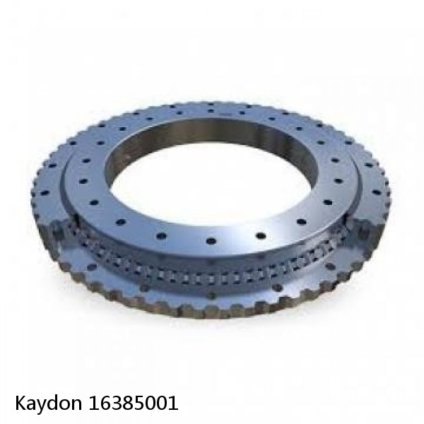 16385001 Kaydon Slewing Ring Bearings