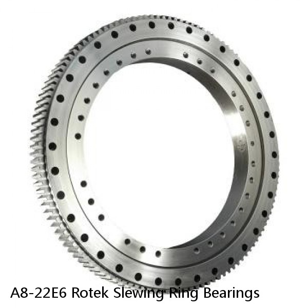 A8-22E6 Rotek Slewing Ring Bearings