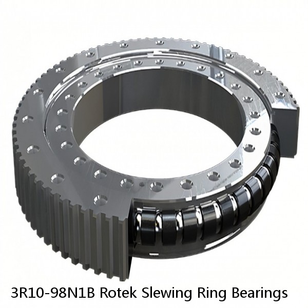 3R10-98N1B Rotek Slewing Ring Bearings