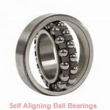 25 mm x 52 mm x 18 mm  NKE 2205-K-2RS+H305 self aligning ball bearings