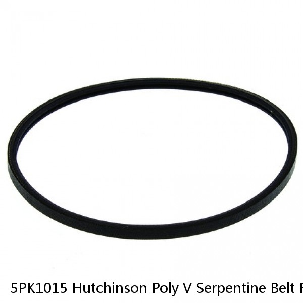 5PK1015 Hutchinson Poly V Serpentine Belt Free Shipping Free Returns